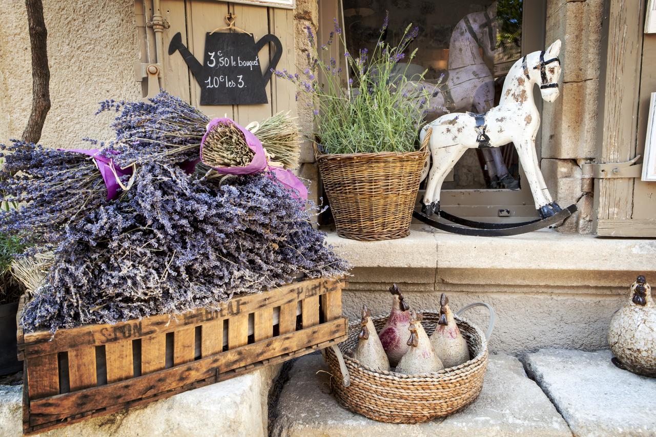 Portail Du Ventoux Central Luxe Jardin Linge Fourni Malaucène Exteriér fotografie